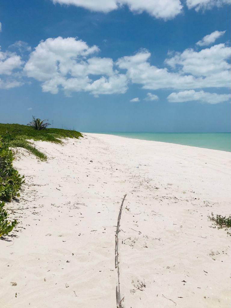 35 de 40: playa