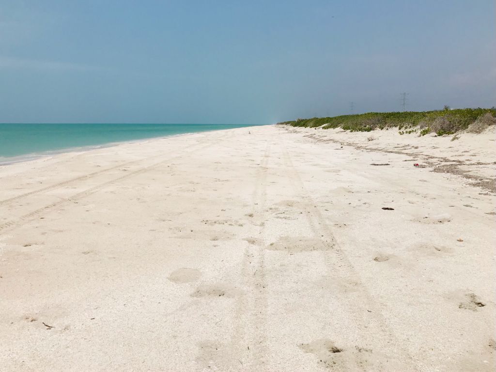 34 de 40: playa