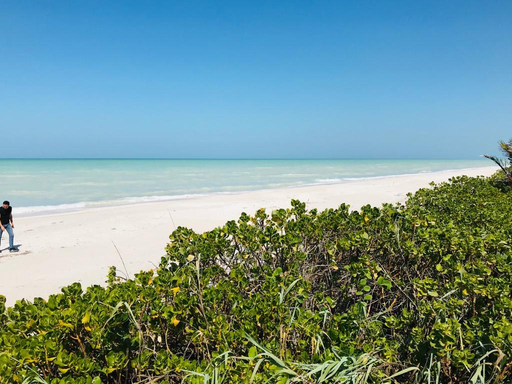 38 de 40: playa