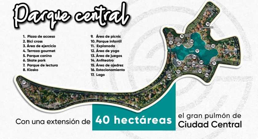 6 de 13
