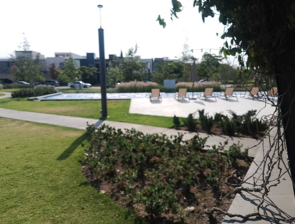 6 de 14