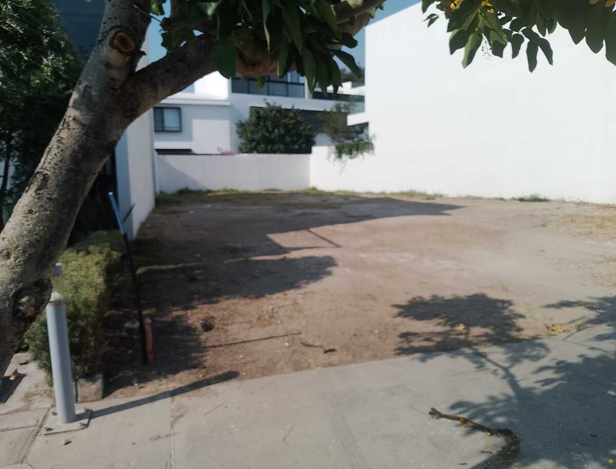 4 de 14