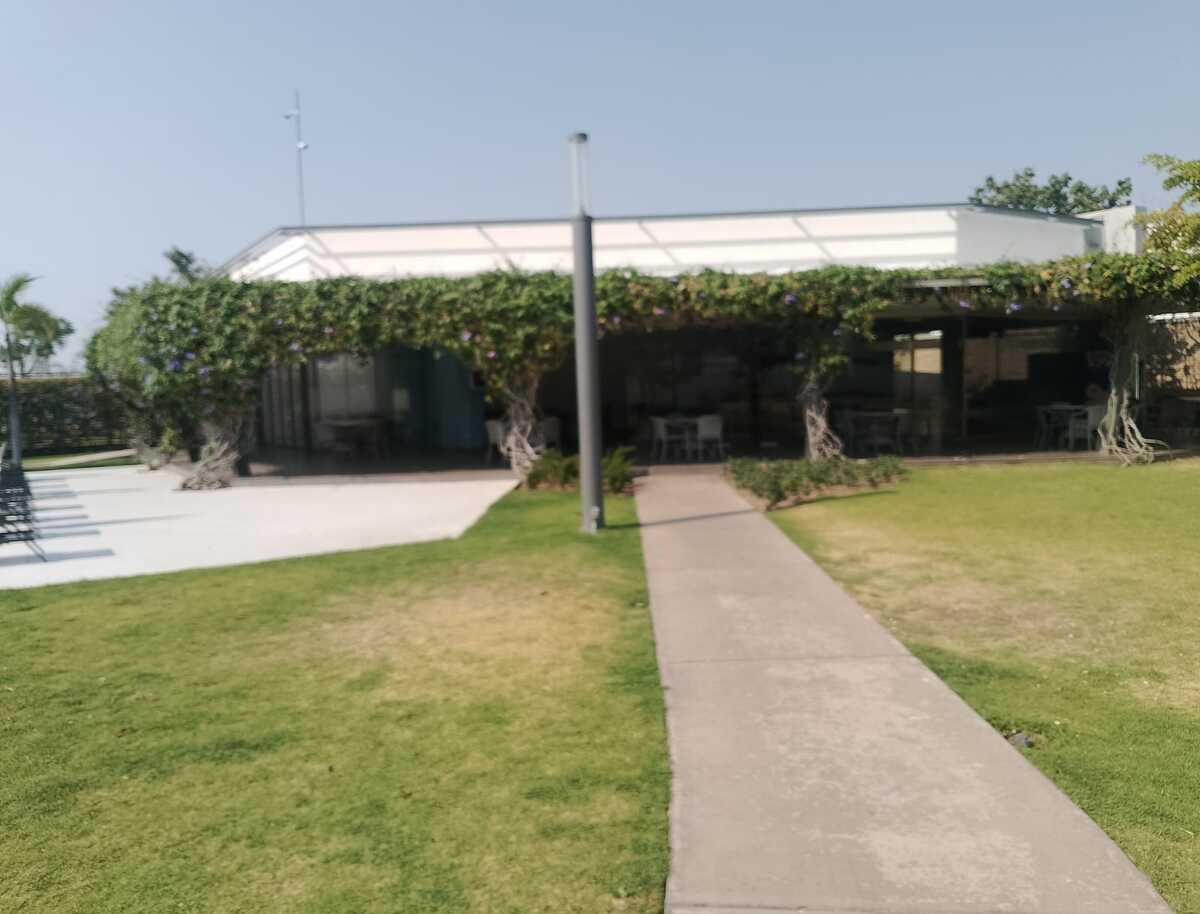 13 de 14