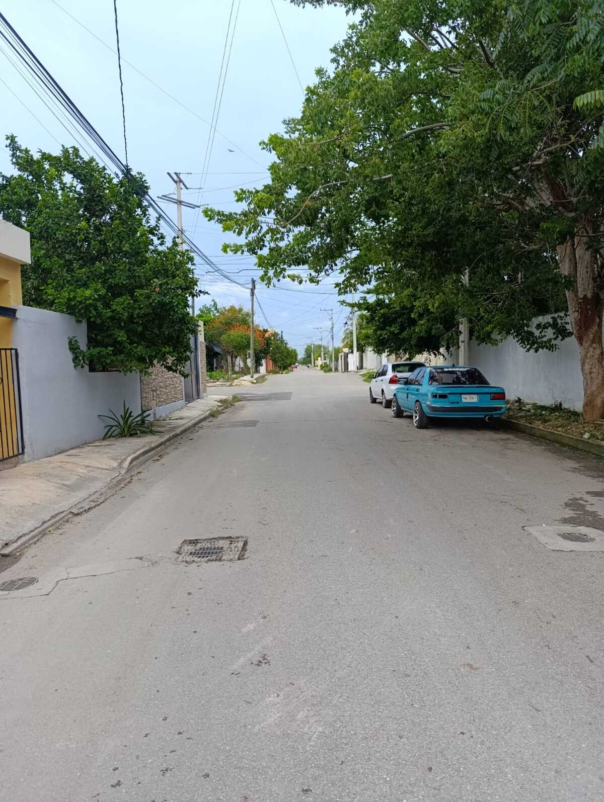5 de 6