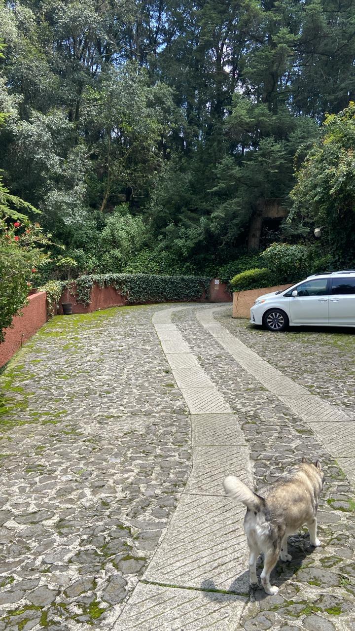 2 de 13