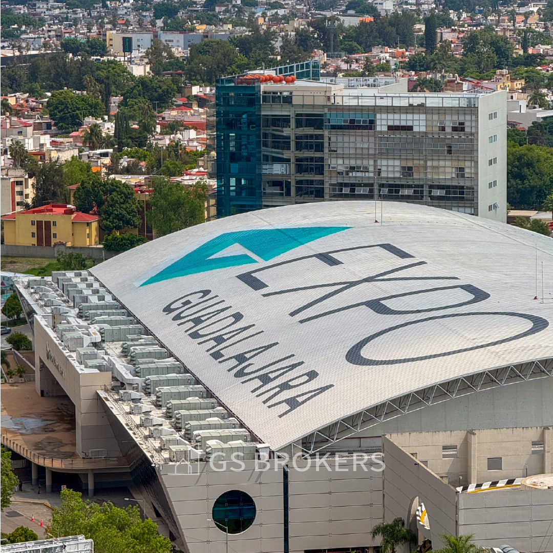 29 de 29