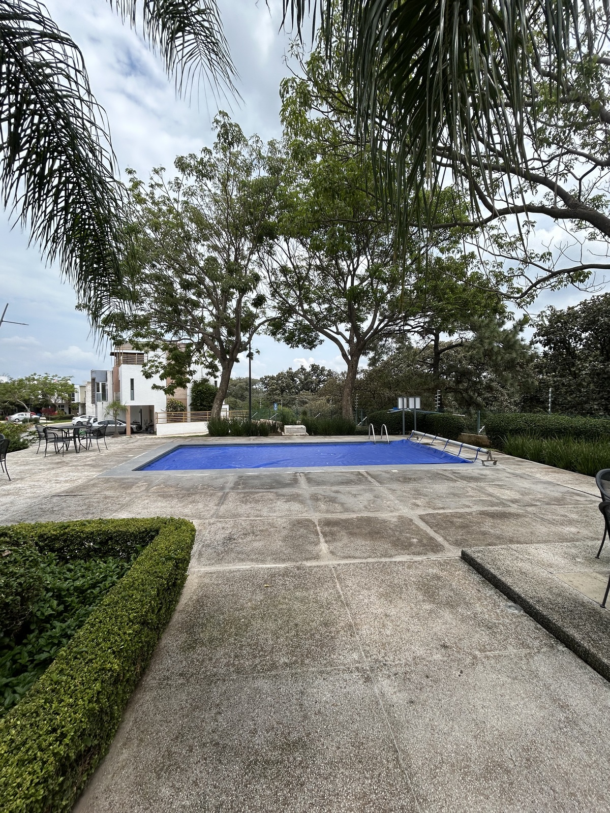 4 de 6