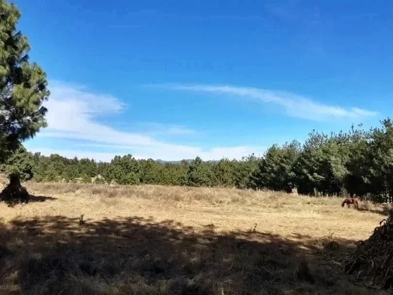 5 de 8
