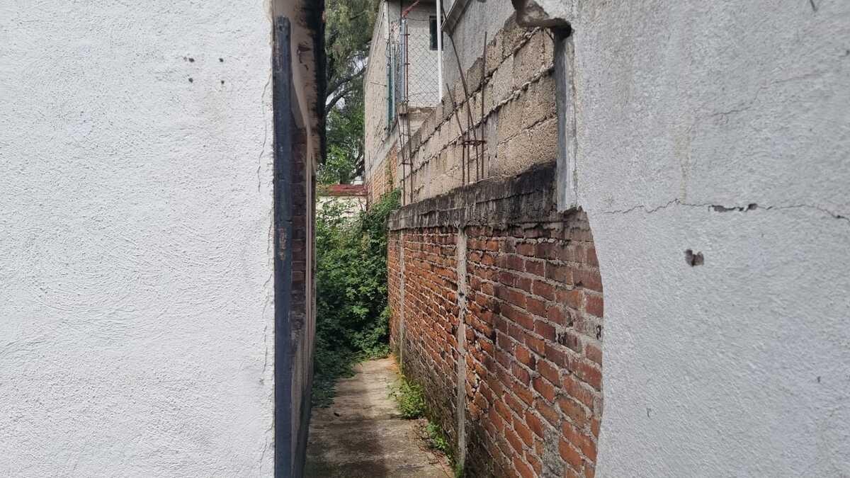8 de 11