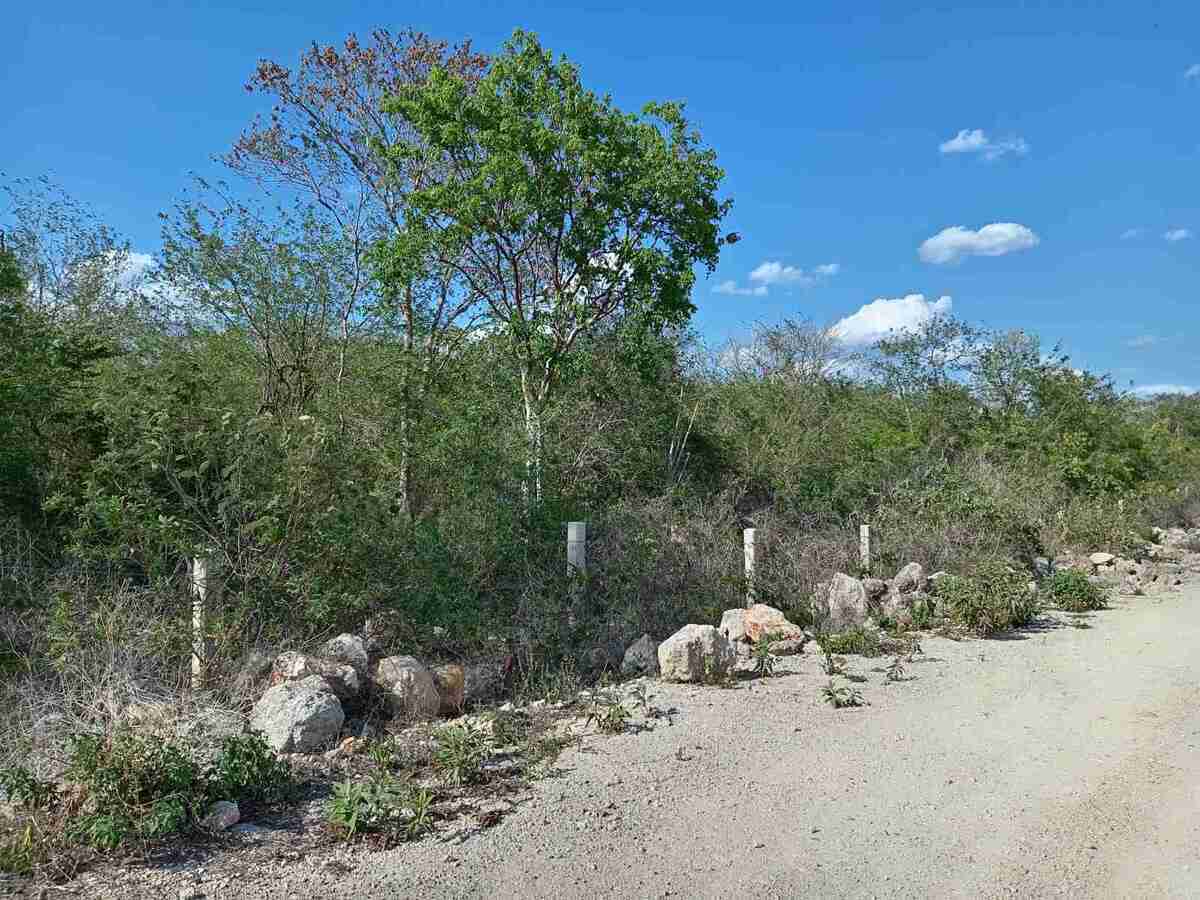 1 de 9: Terreno En Venta En Kanasin Yucatán