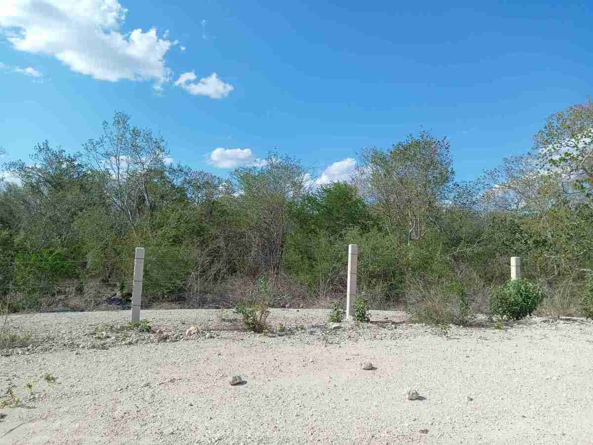 7 de 9: Terreno En Venta En Kanasin Yucatán