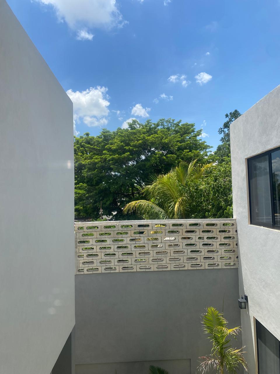6 de 17