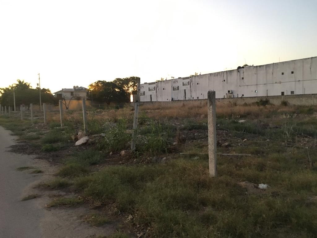 2 de 12