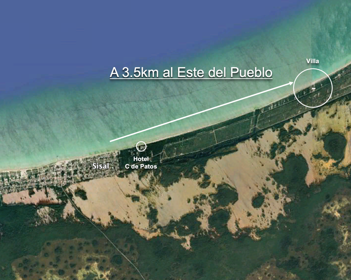 4 de 16