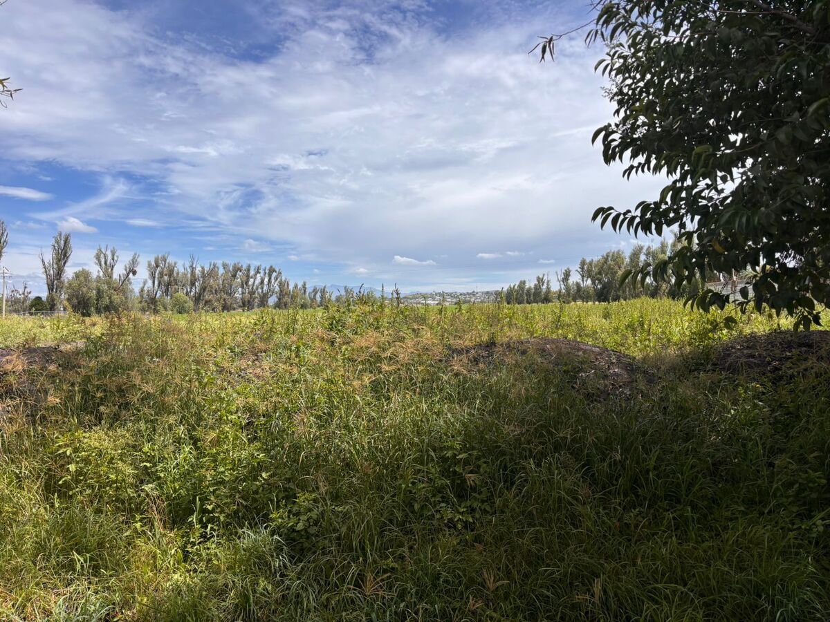 Venta de Terreno en el Marques - foto 4