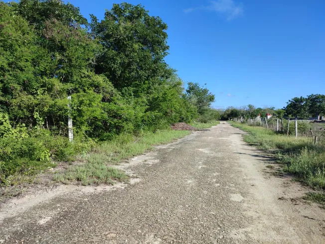 6 de 6: Terreno En Venta En Dzibilchaltun Chablekal Mérida Yucatán