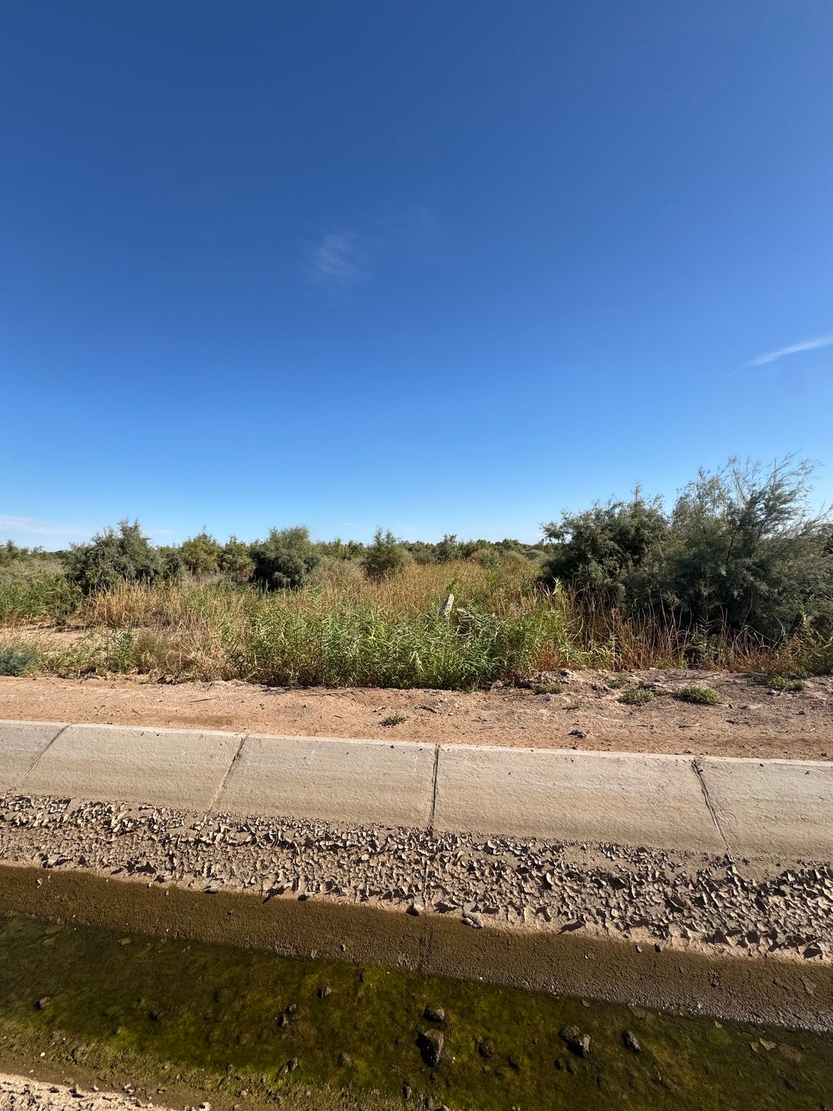 18.5 HECTAREAS EN VENTA EN MEXICALI - foto 1
