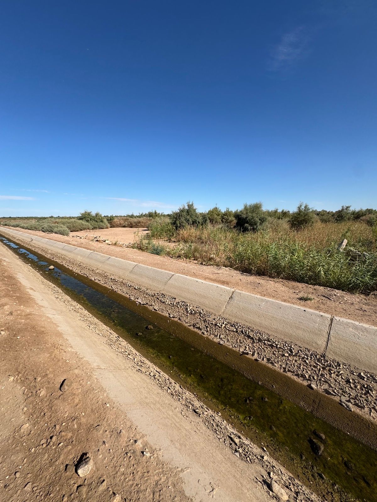 18.5 HECTAREAS EN VENTA EN MEXICALI - foto 2