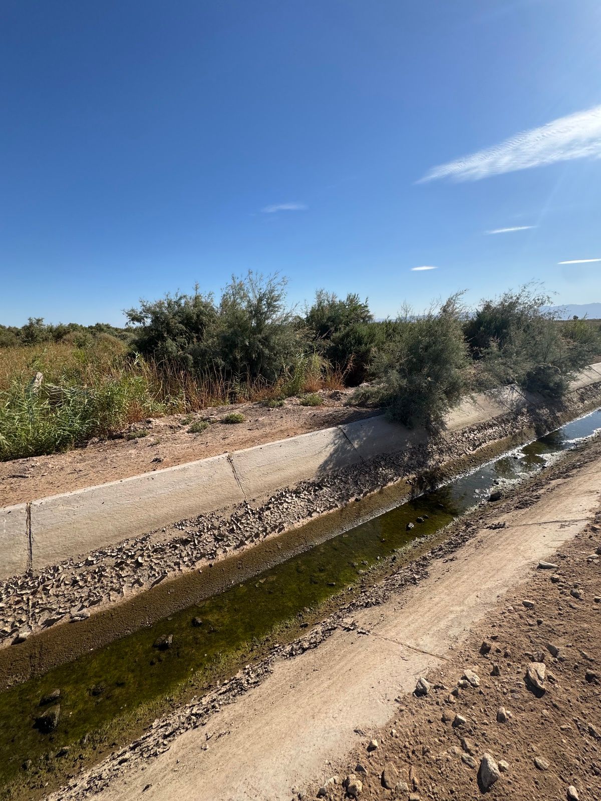 18.5 HECTAREAS EN VENTA EN MEXICALI - foto 3