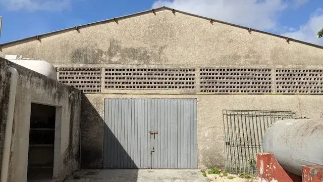 3 de 7