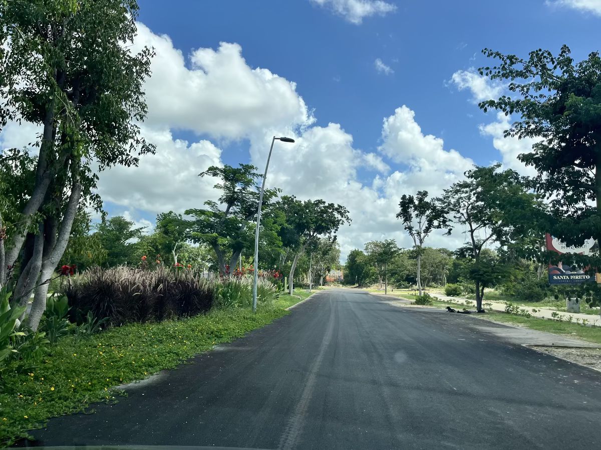 24 de 36