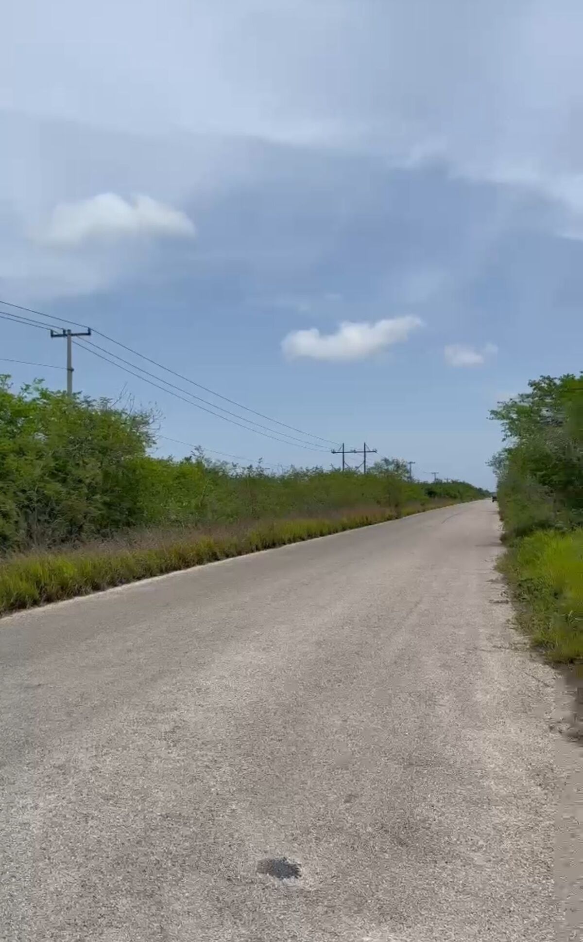 1 de 13