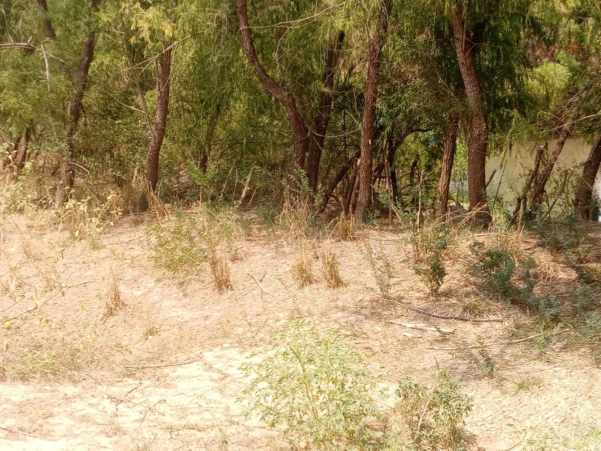 2 de 15