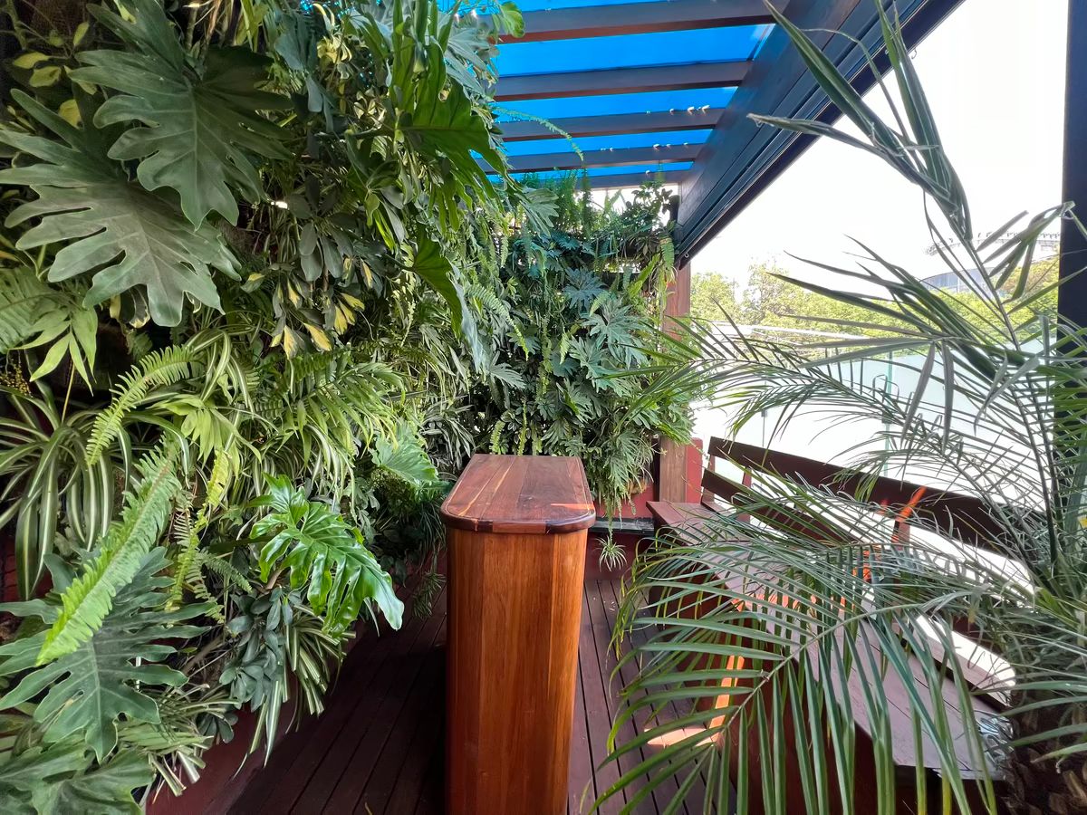 Bar Roof garden privado, foto 1 de 16
