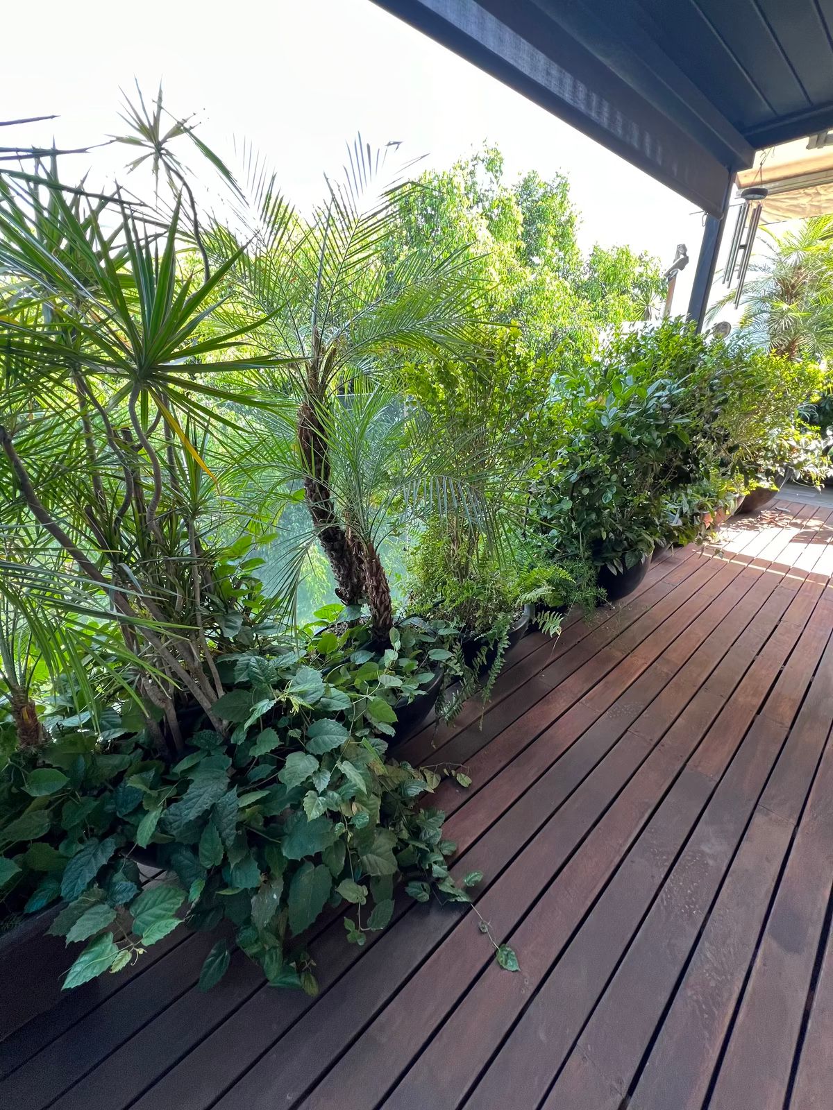 Roof garden privado, foto 4 de 16