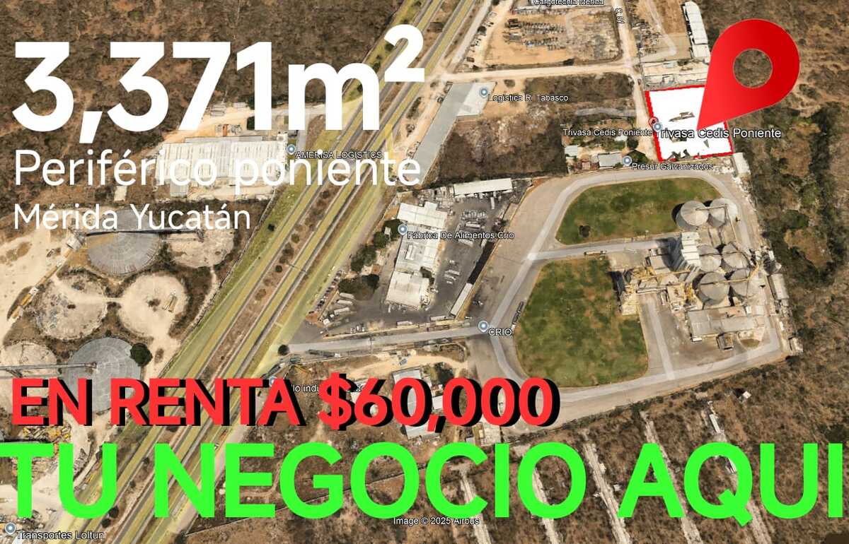 1 de 9