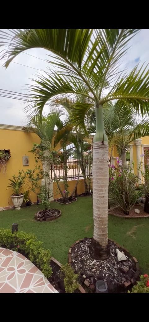 5 de 17