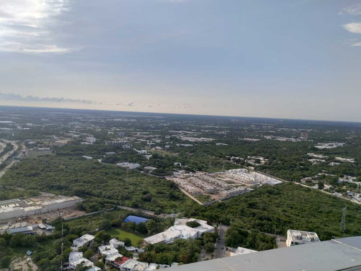 15 de 17