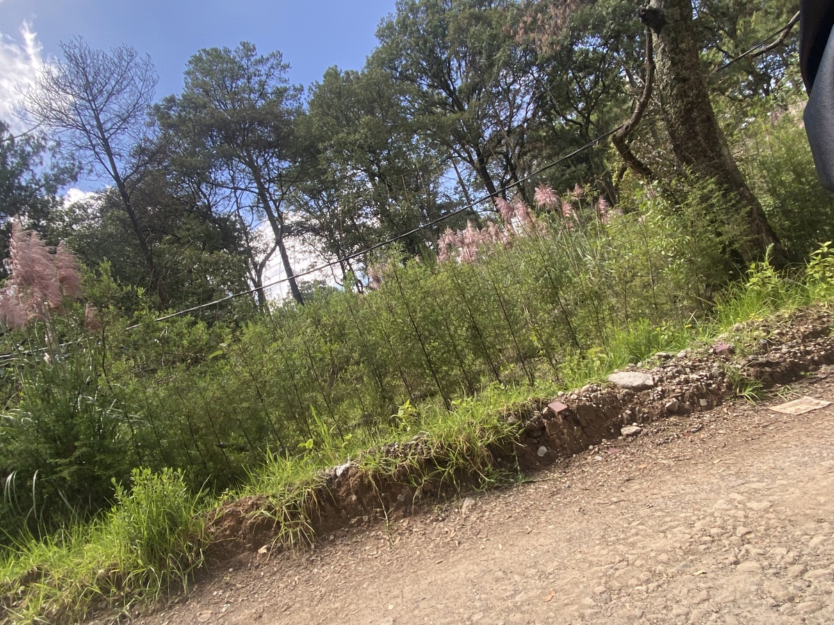 2 de 12