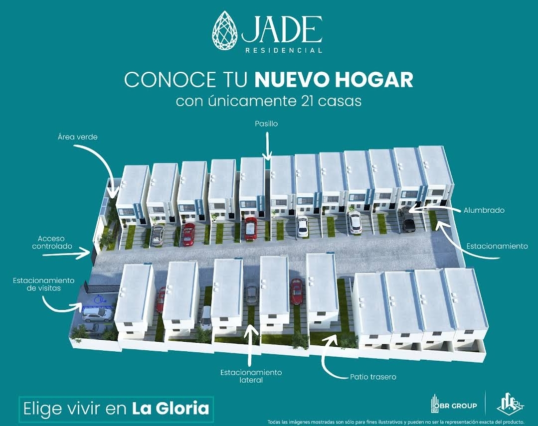 3 de 6