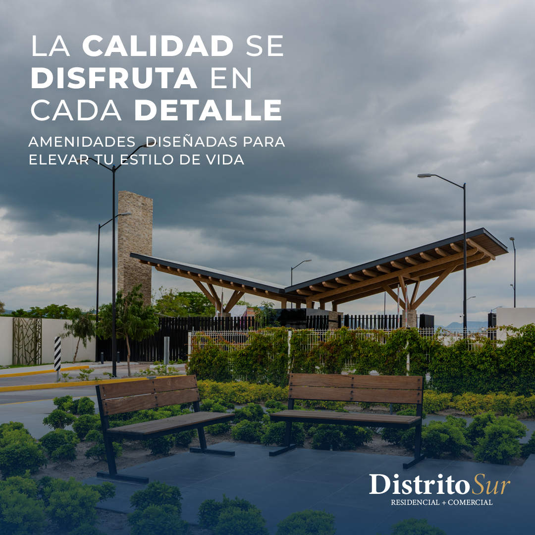 1 de 8