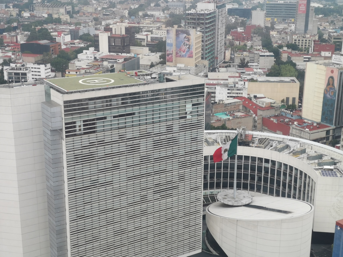 14 de 19