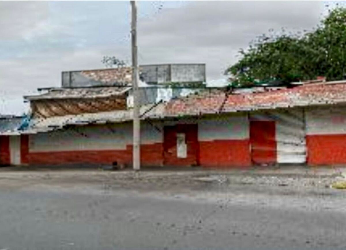 4 de 6