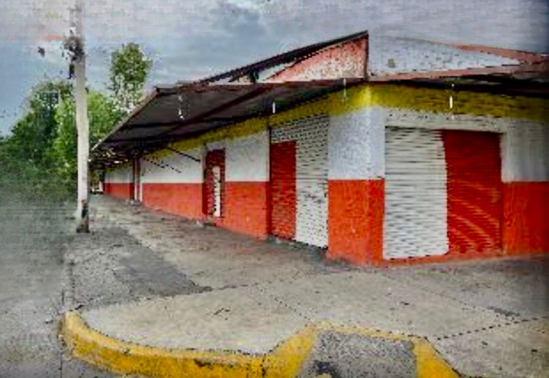6 de 6
