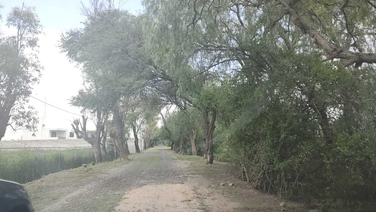 4 de 14