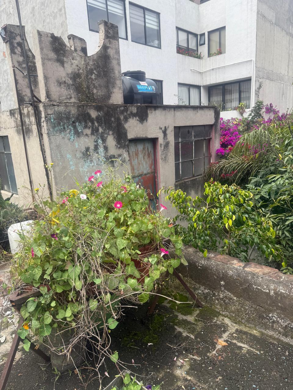 3 de 12