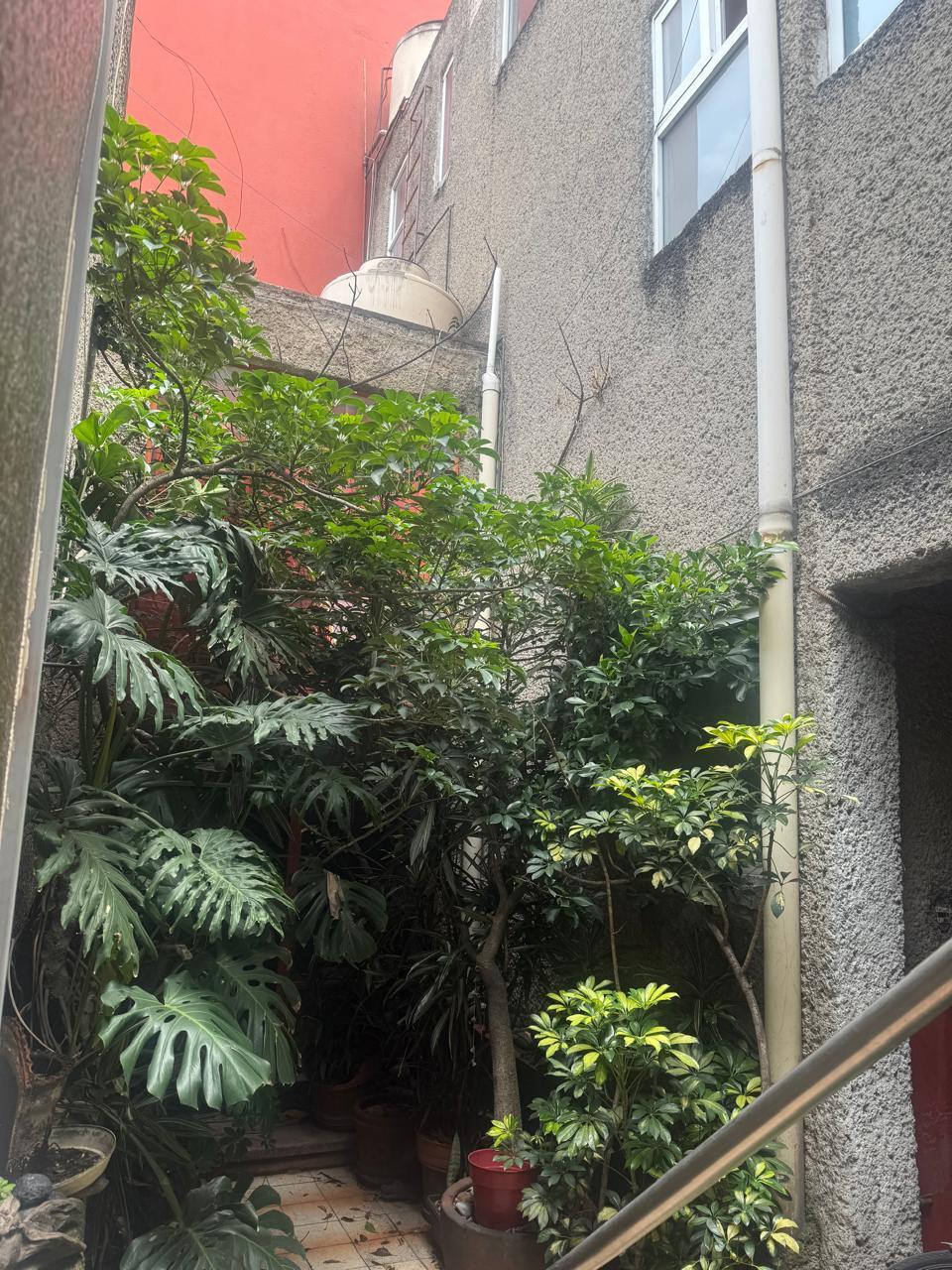 11 de 12