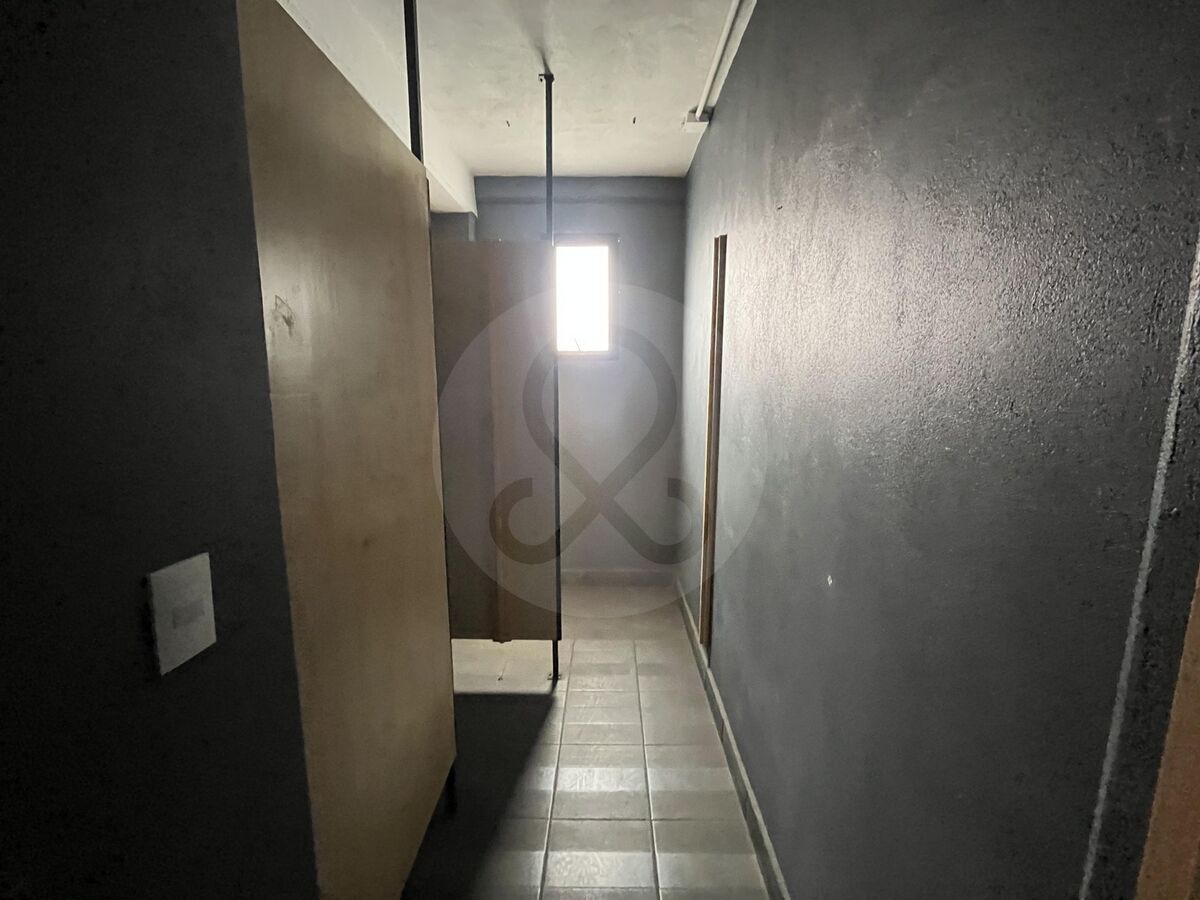 19 de 24