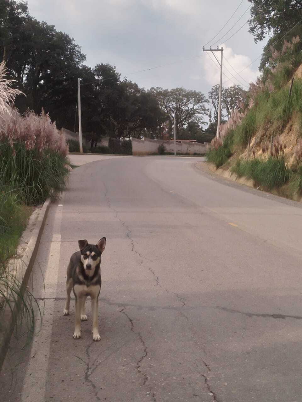 5 de 18