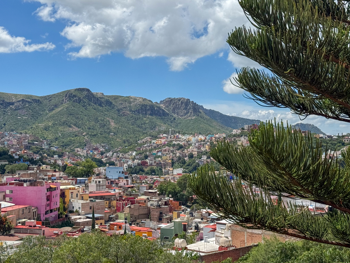 23 de 26