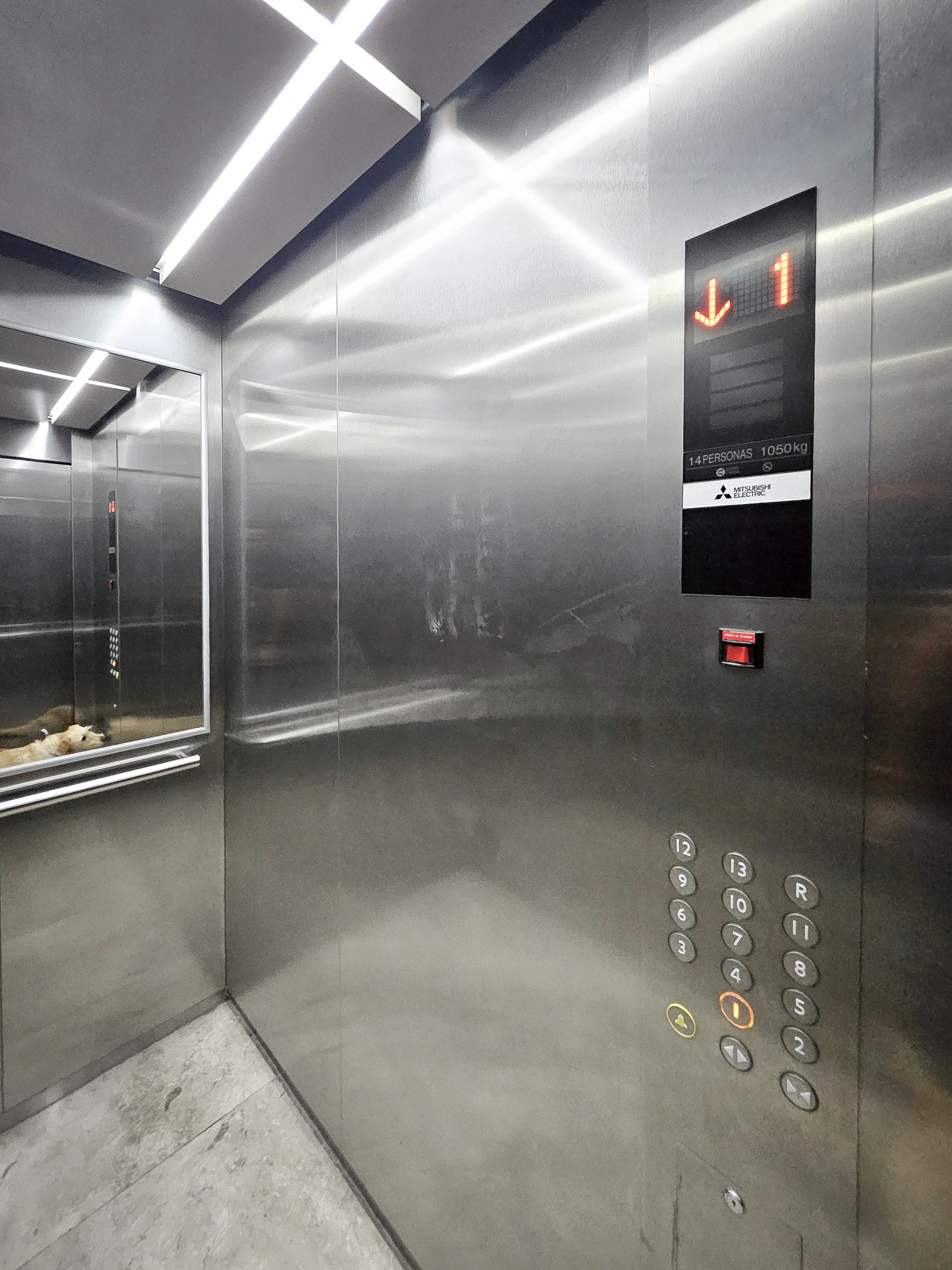 12 of 22: ELEVADOR