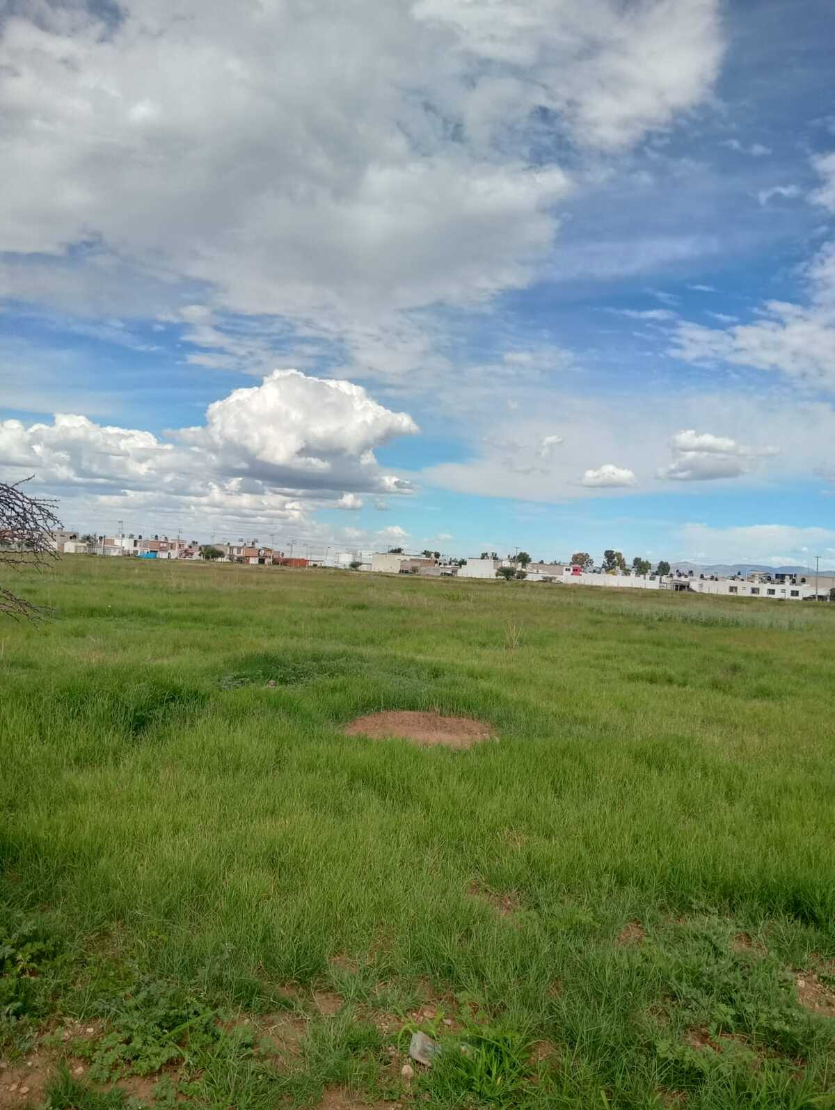 2 de 3
