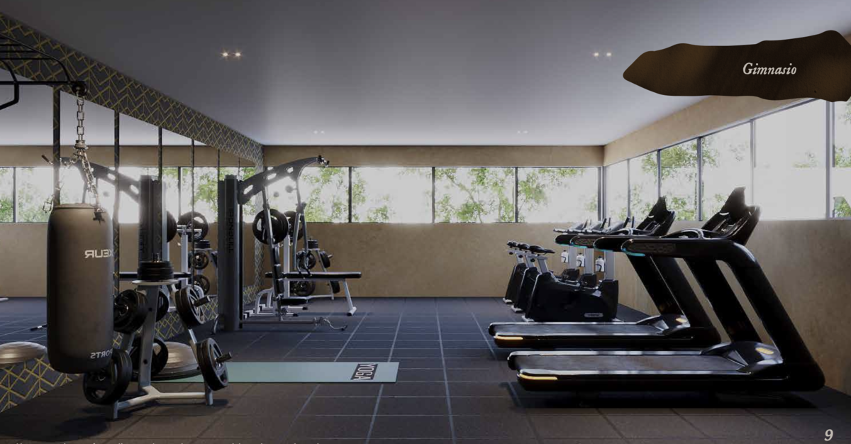 3 de 7: Gimnasio