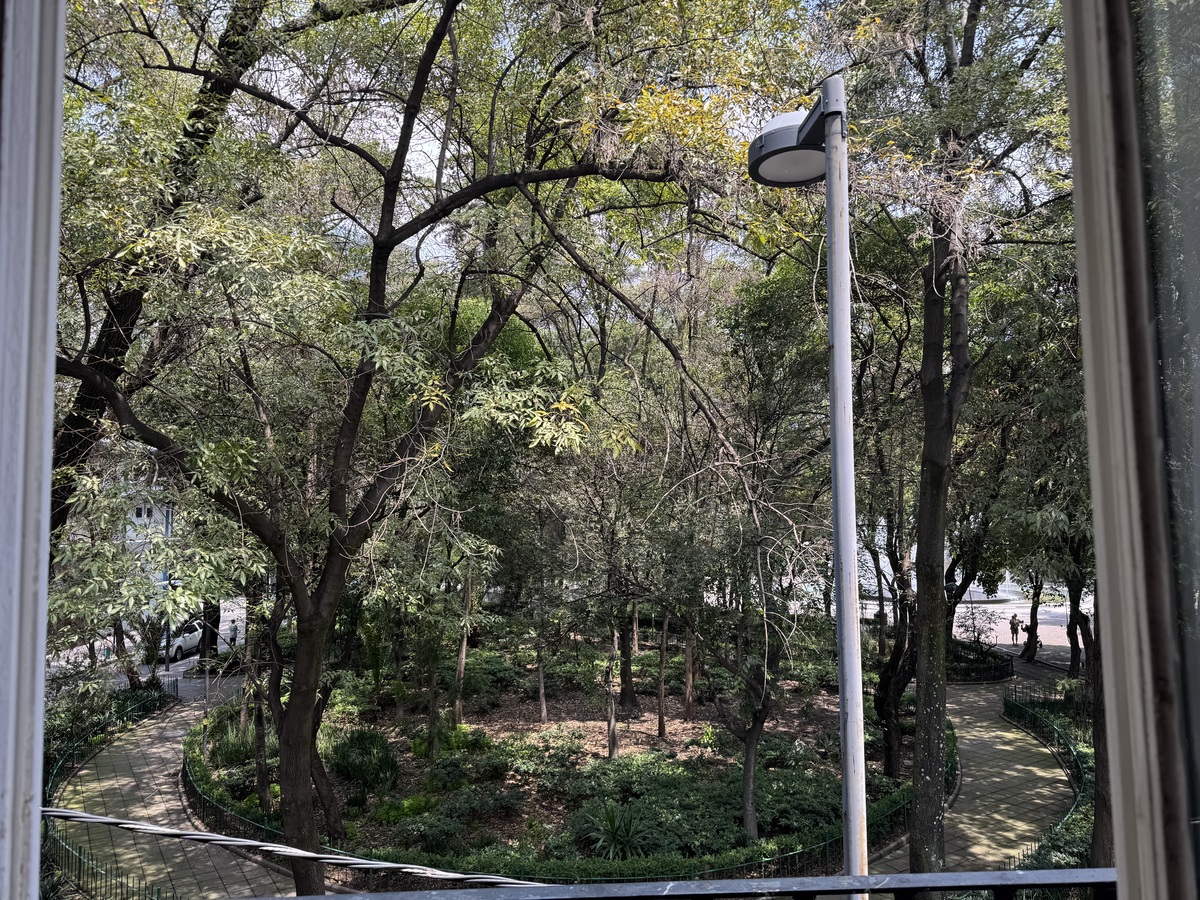 5 de 19
