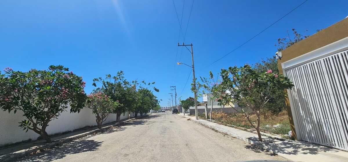 Terrenos en Dzitya - foto 3