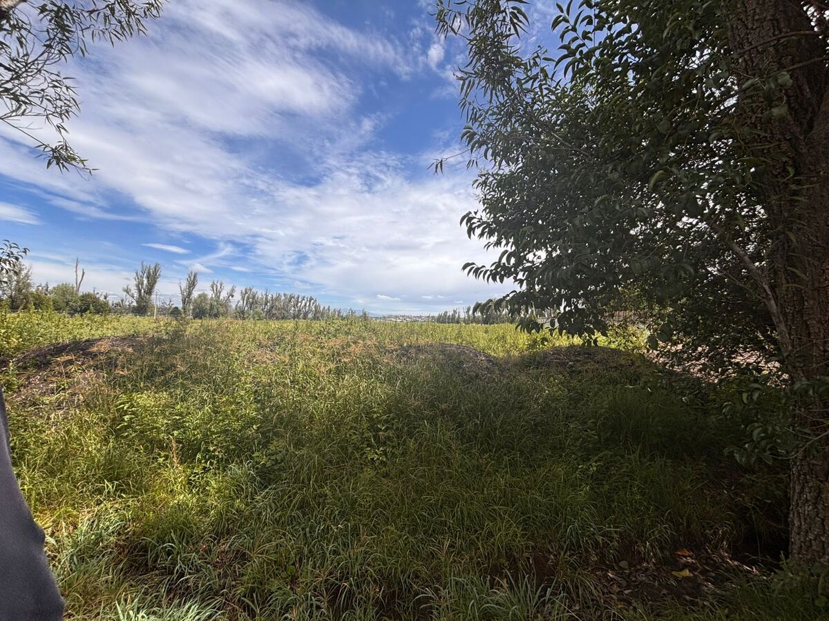 Venta de Terreno Agro Industrial en el Marques - foto 4